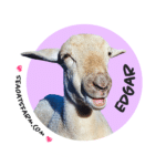 Sea Oats Farm Edgar Sheep Sticker